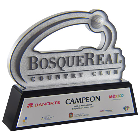 Reconocimiento personalizado