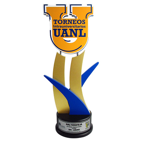 Reconocimiento personalizado